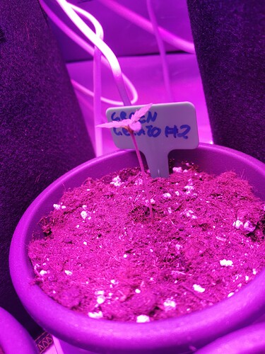 Growreport Bild 19