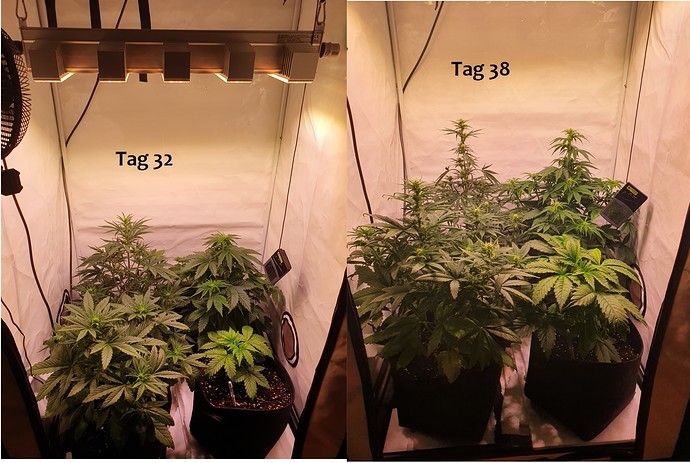 Growreport Bild 2