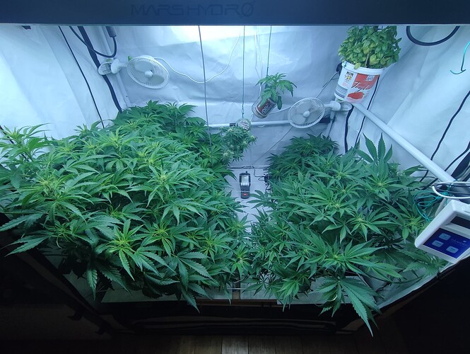 Growreport Bild 52