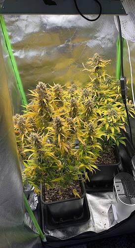 Growreport Bild 22