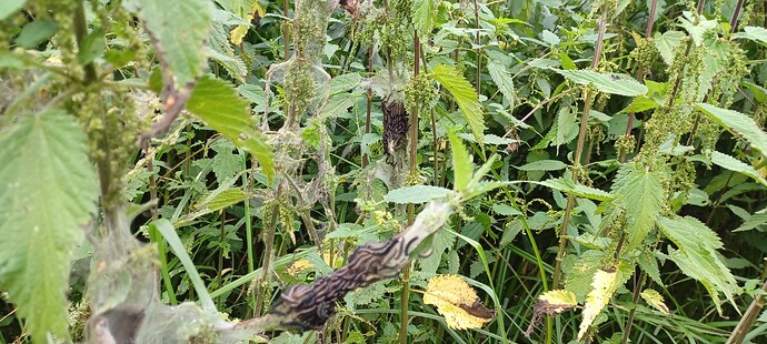 Growreport Bild 22