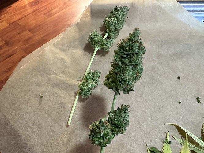 Growreport Bild 35