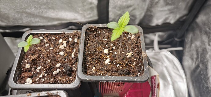 Growreport Bild 22