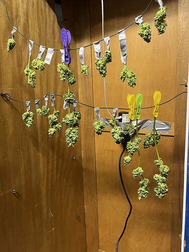 Growreport Bild 21