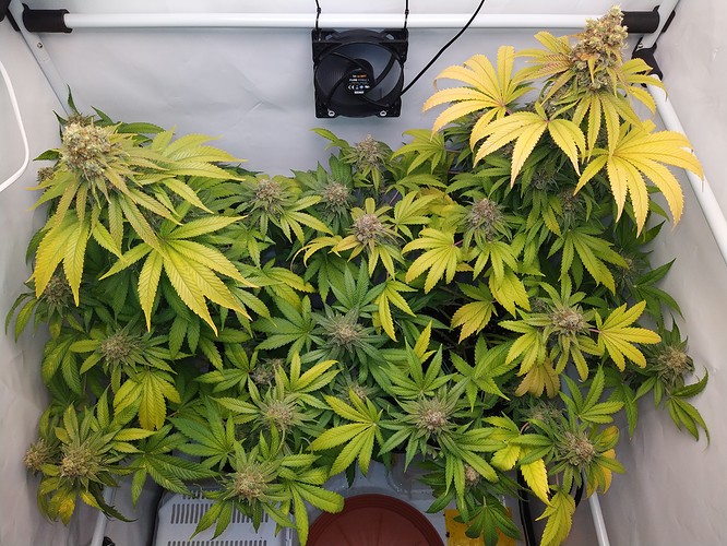 Growreport Bild 3