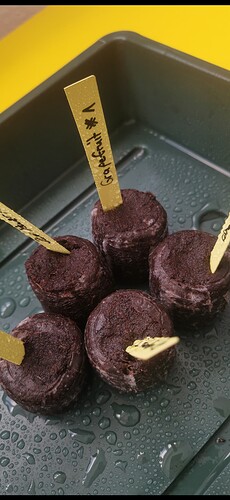 Growreport Bild 83