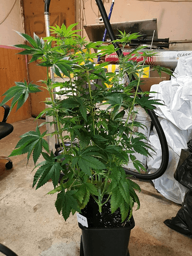 Growreport Bild 18