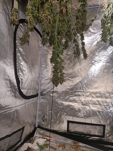 Growreport Bild 7