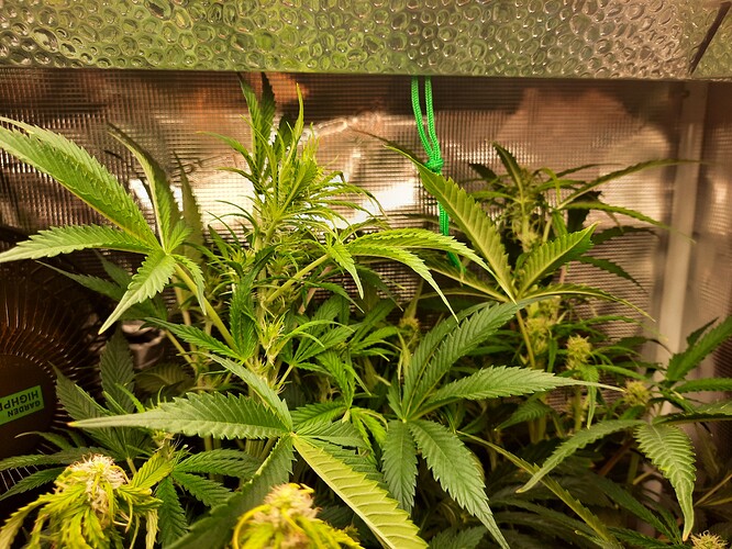 Growreport Bild 14