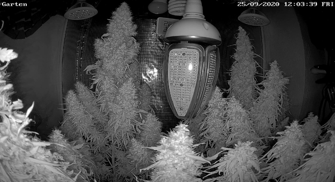 Growreport Bild 13