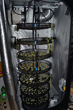 Growreport Bild 1