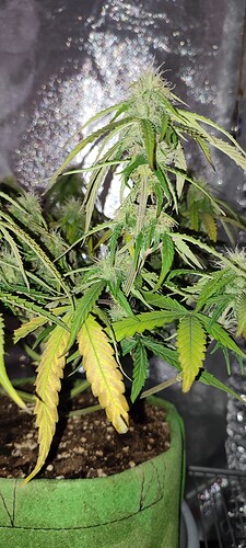 IMG_20230906_125257