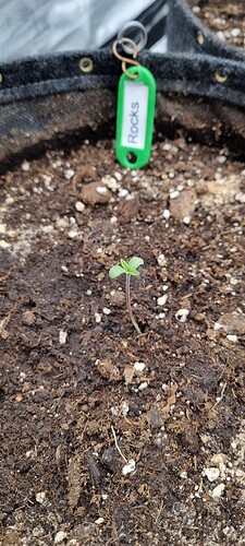 Growreport Bild 13