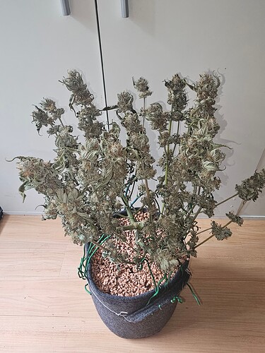 Growreport Bild 10