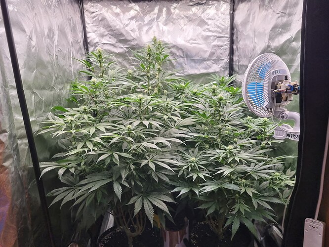 Growreport Bild 21