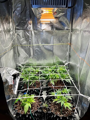 Growreport Bild 7