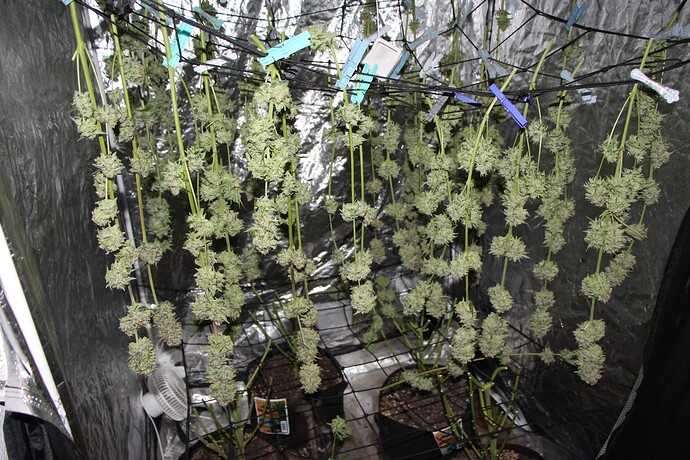 Growreport Bild 2