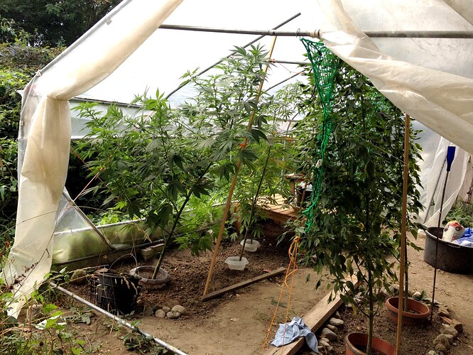 Growreport Bild 8