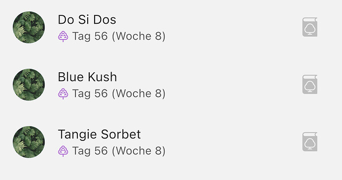 Growreport Bild 1