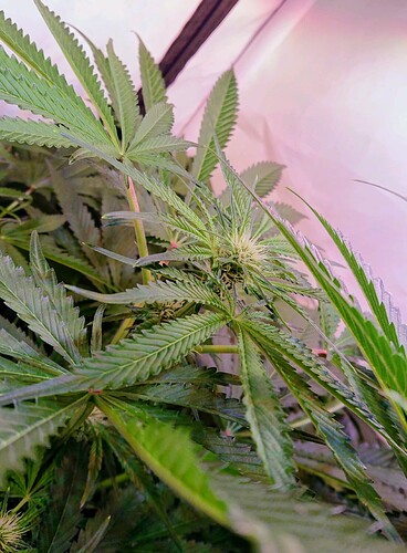 Growreport Bild 12
