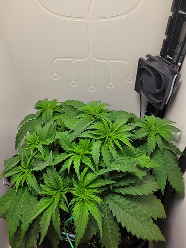 Growreport Bild 10