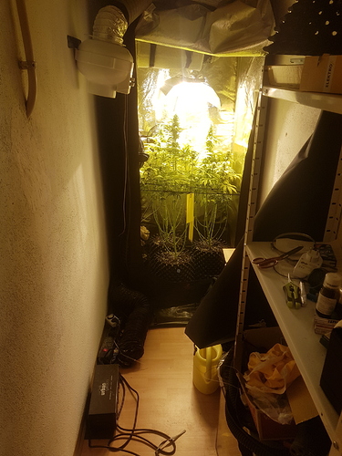 Growreport Bild 1