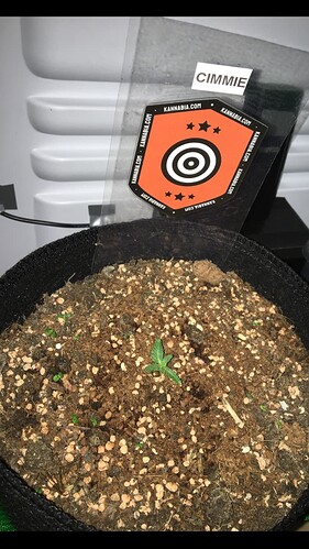 Growreport Bild 3
