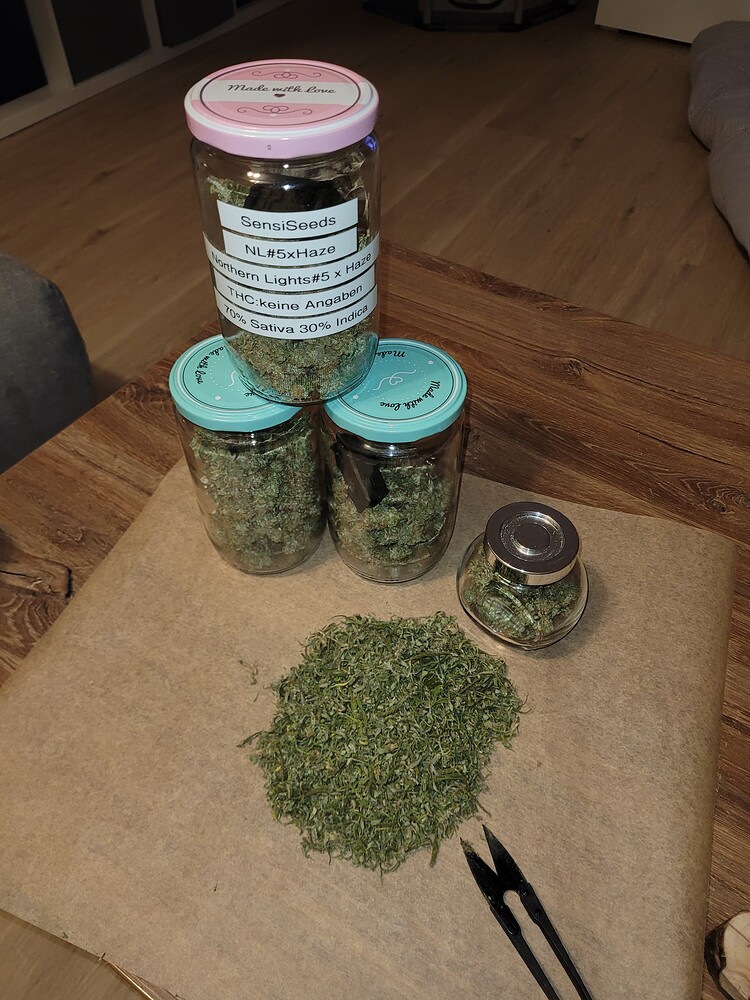 1. SCROG Projekt / Northern Lights #5 x Haze