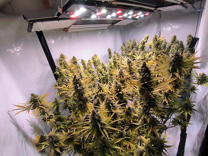Growreport Bild 12