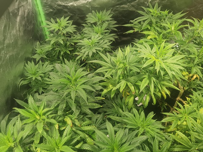 Growreport Bild 16