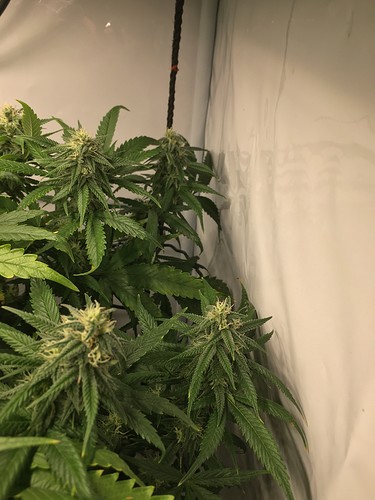 Growreport Bild 10