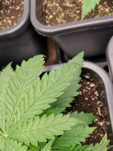 Growreport Bild 18