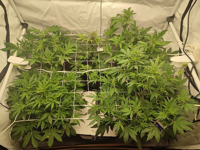 Growreport Bild 23