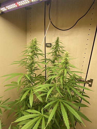 Growreport Bild 8
