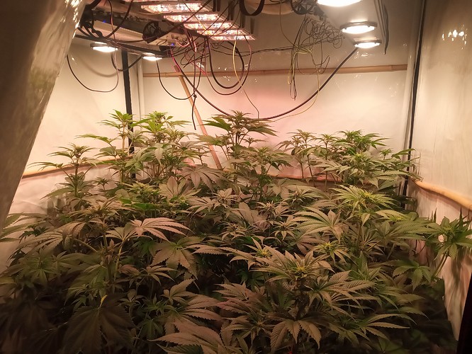 Growreport Bild 11
