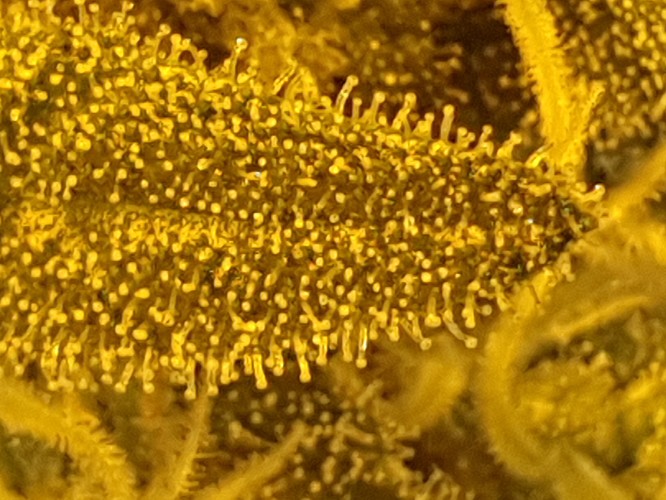 20211001_130241