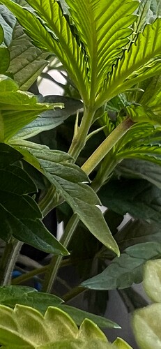 Growreport Bild 13