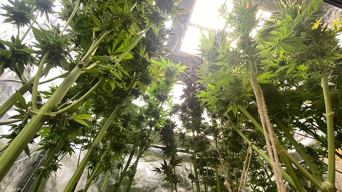 Growreport Bild 26