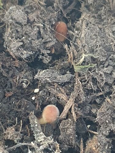 photo_2023-10-16_13-09-06