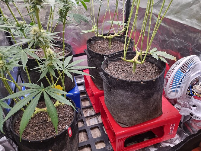 Growreport Bild 10