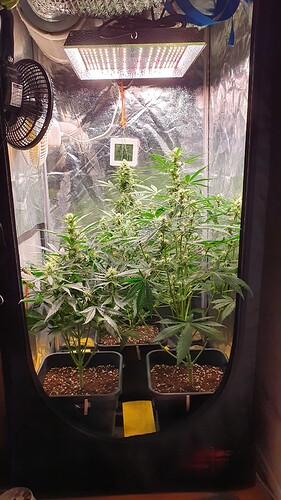 Growreport Bild 5
