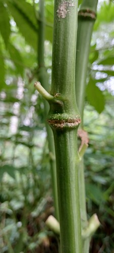 Growreport Bild 10