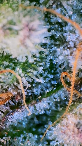 2022_01_05_22_33_30_994