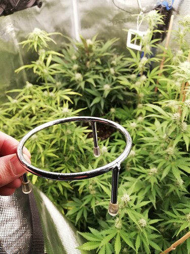 Growreport Bild 19