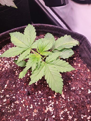 Growreport Bild 22