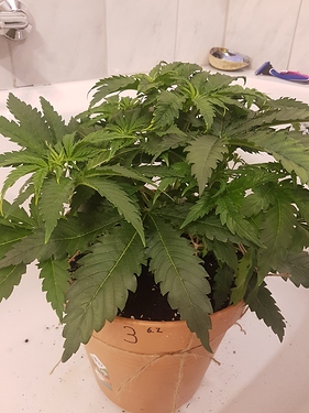 Growreport Bild 11