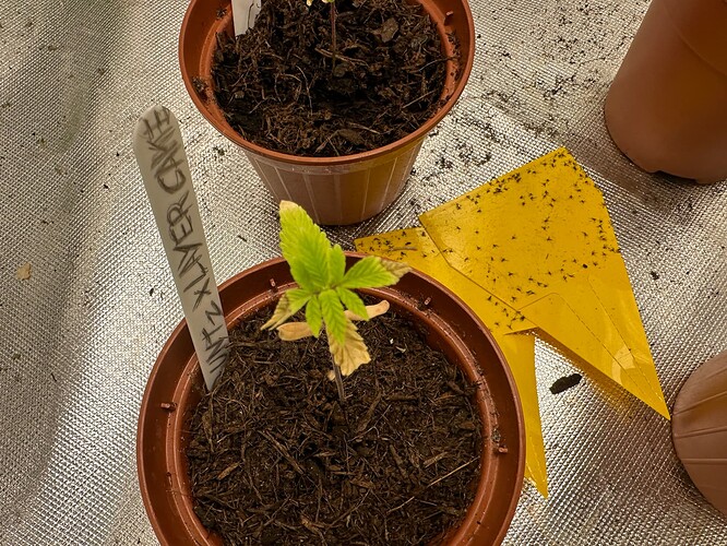 Growreport Bild 10