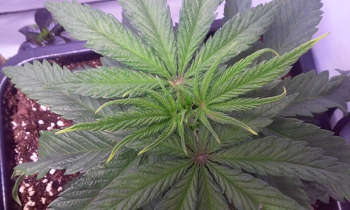 Growreport Bild 22