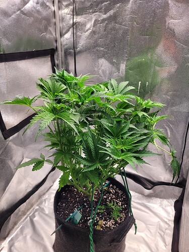 Growreport Bild 22