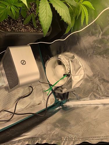 Growreport Bild 9